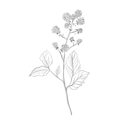 Boudoir par Karl - Boudoir par Karl