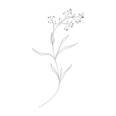 Boudoir par Karl - Boudoir par Karl